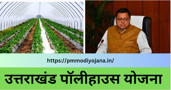 राज्य में क्लस्टर आधारित छोटे पॉलीहाउस में सब्जी एवं फूलों की खेती के लिए बनाई गई योजना