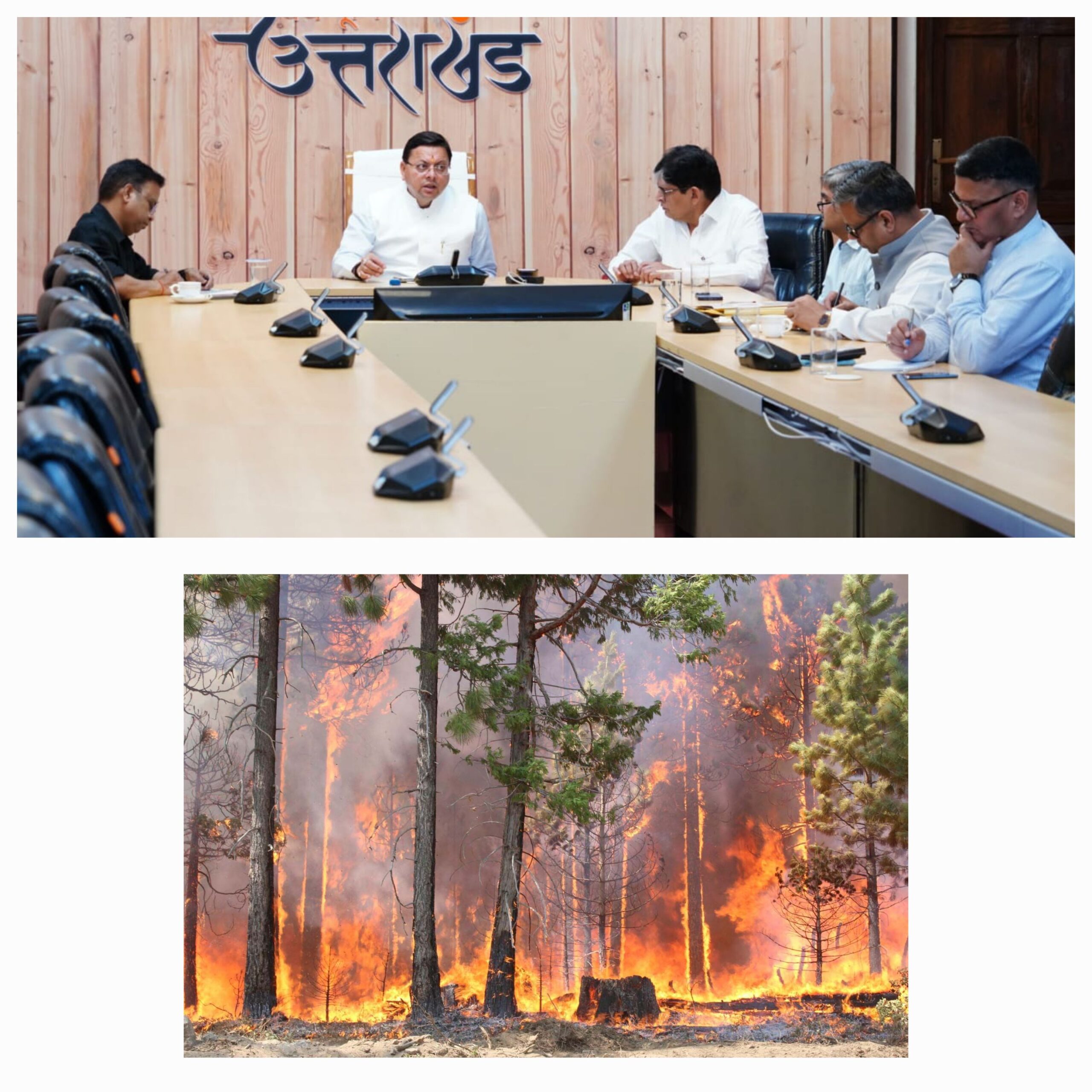 मुख्यमंत्री धामी ने प्रभागीय वनाधिकारियों के साथ वनाग्नि की रोकथाम के सम्बन्ध में वर्चुअल बैठक कर दिए निर्देश
