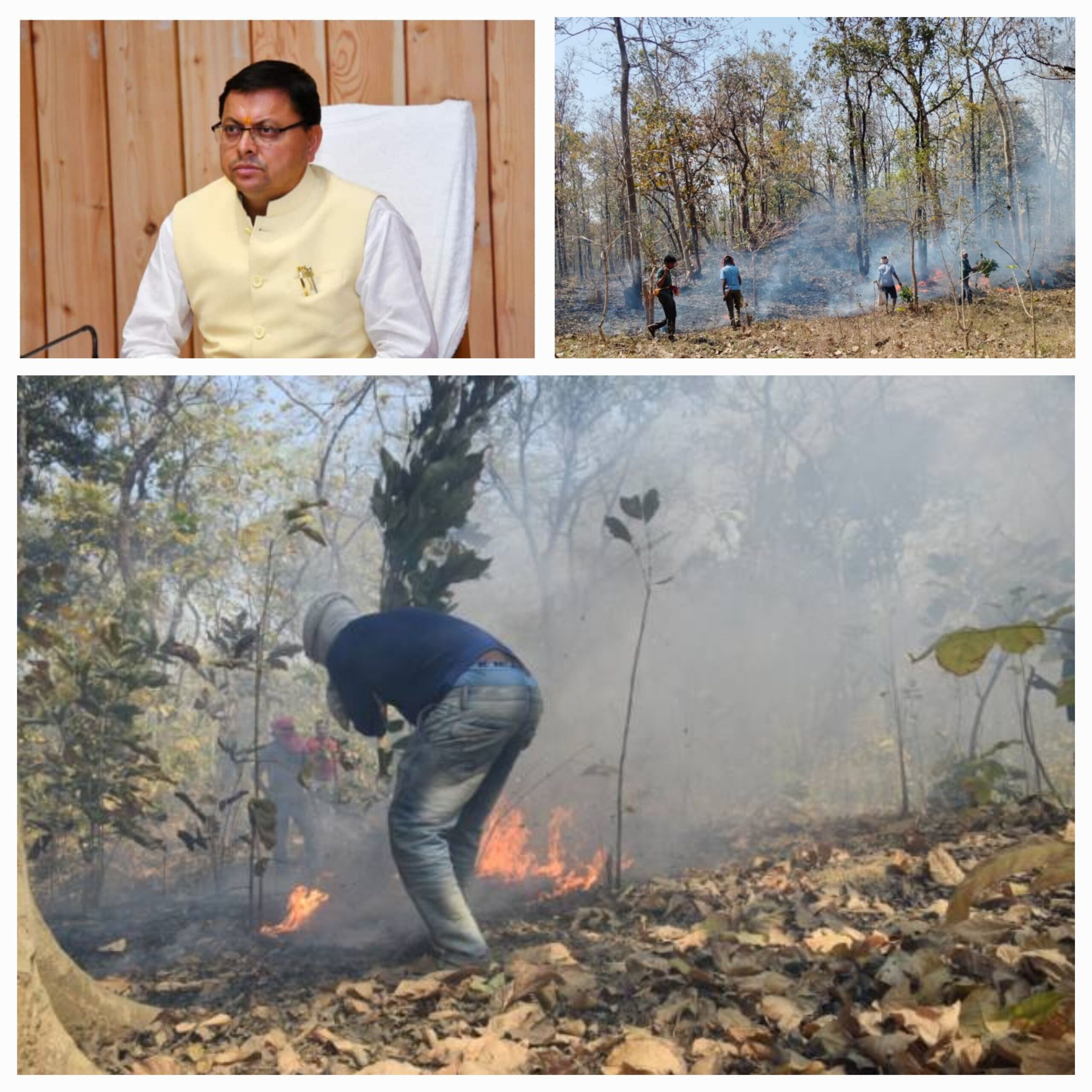 मुख्यमंत्री धामी के निर्देश के बाद पूरे वन महकमे में ह्ड़कंप, अधिकारियों को लगी फटकार, ग्राउंड जीरो पर अब हैं अधिकारी, और आग पर नियंत्रण