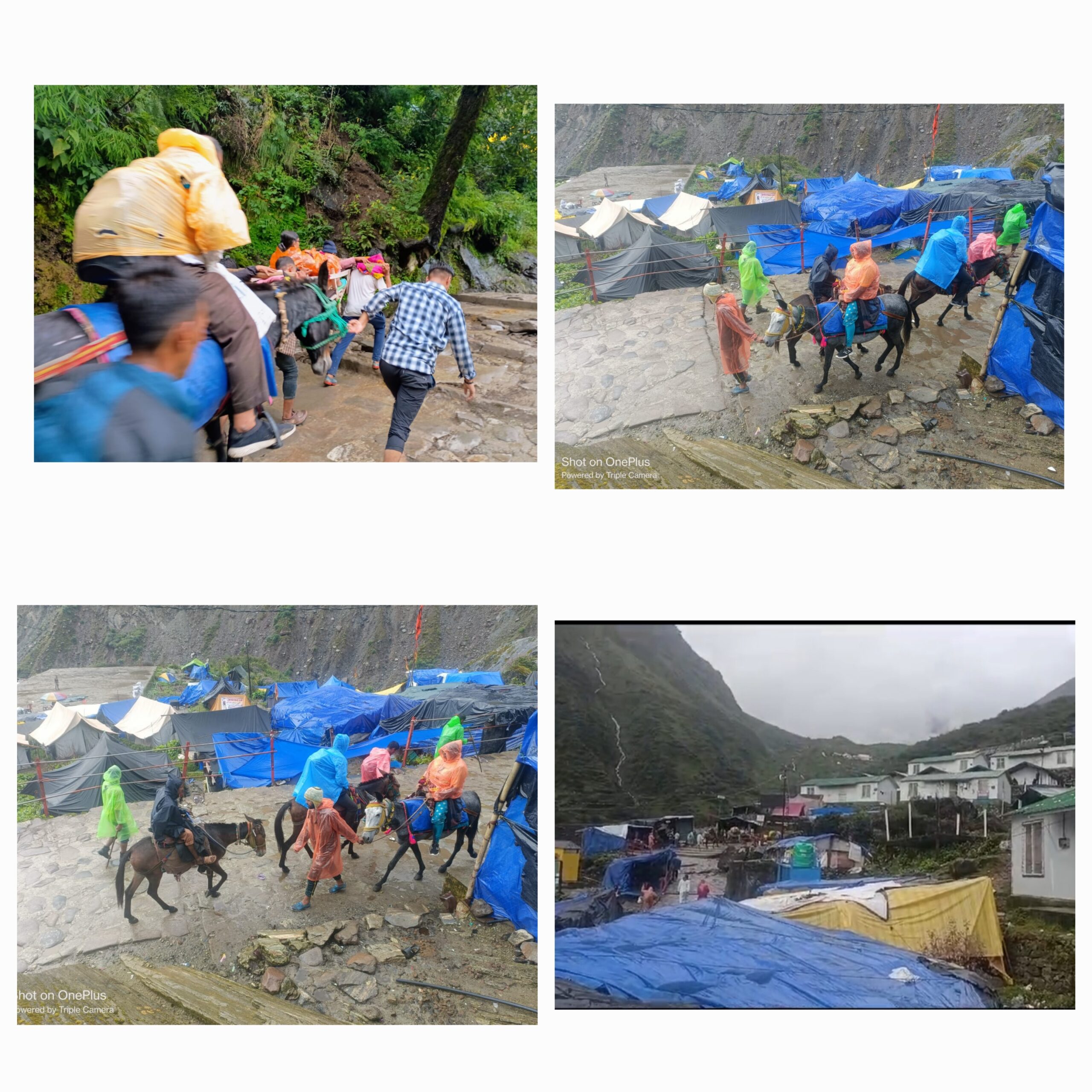 यात्रा व्यवस्थाओं को लेकर संतुष्ट नजर आ रहे हैं श्रद्धालु अपने सुखद अनुभव साझा कर रहे हैं   
