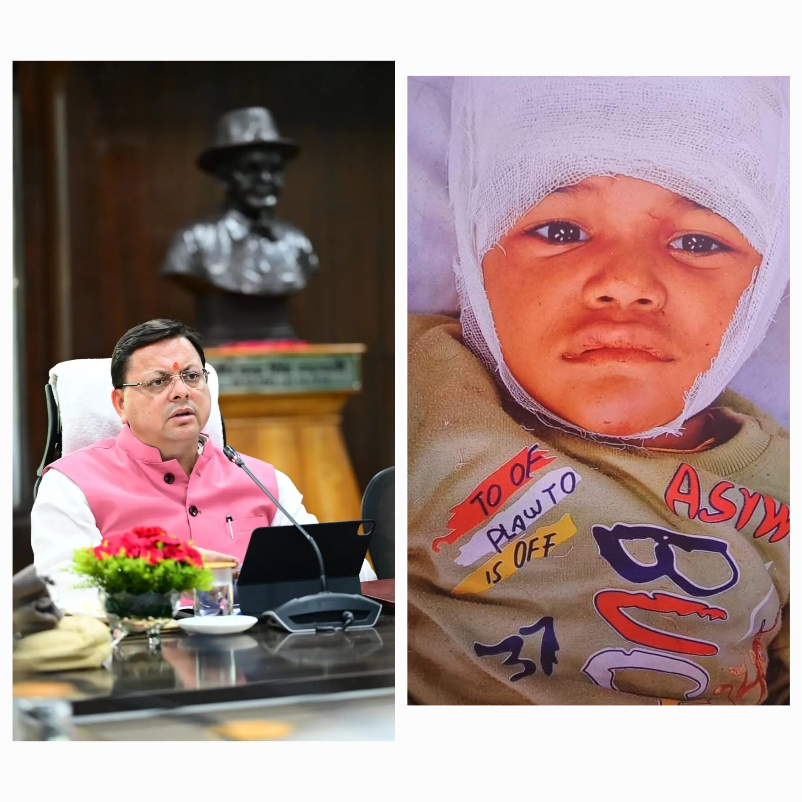 मुख्यमंत्री धामी ने अपने माता-पिता को खोने वाली शिवानी बिटिया की देखभाल और शिक्षा की जिम्मेदारी उठाने का संकल्प लिया है   