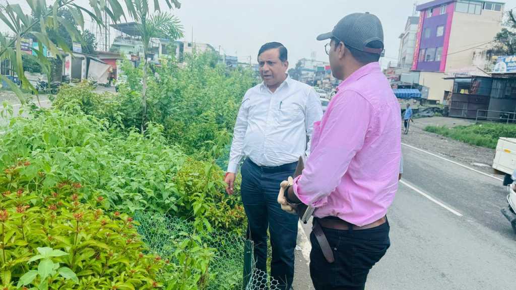 एमडीडीए ने हरियाली को बचाने के लिए शहर में सड़कों के किनारे और बीच में पेड़ उगाए।   