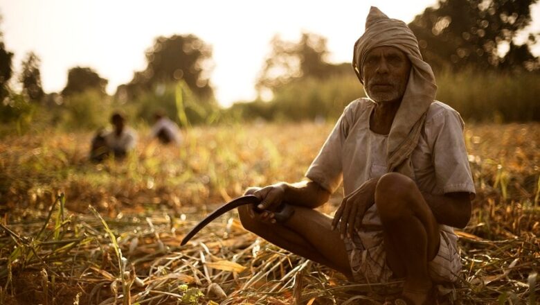 किसानों से धान और गेंहू खरीद का काम आमतौर पर राज्य सहकारी संघ ही करता है पर ये काम पीसीयू के पास पहुंच गया.. जबकि पीसीयू का काम एजुकेशन टूर और ट्रेनिंग का   